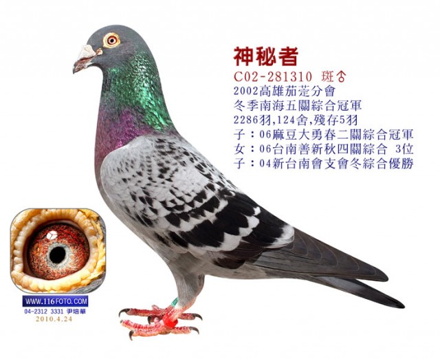 點擊觀看原圖