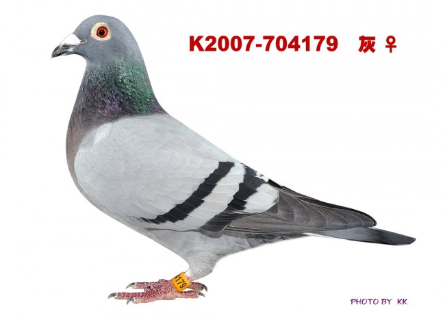 點擊觀看原圖