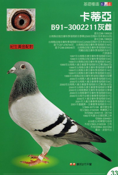 B91-3002211灰 ♀