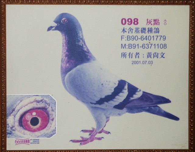 點擊觀看原圖