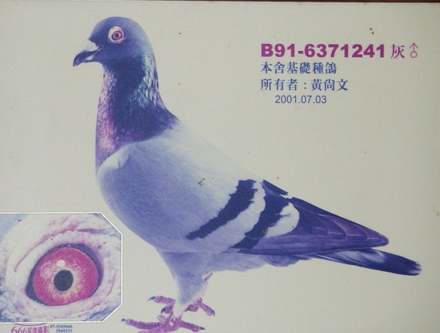 點擊觀看原圖